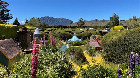 lower crackpot tasmania|village of lower crackpot.